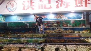 Seafood tanks